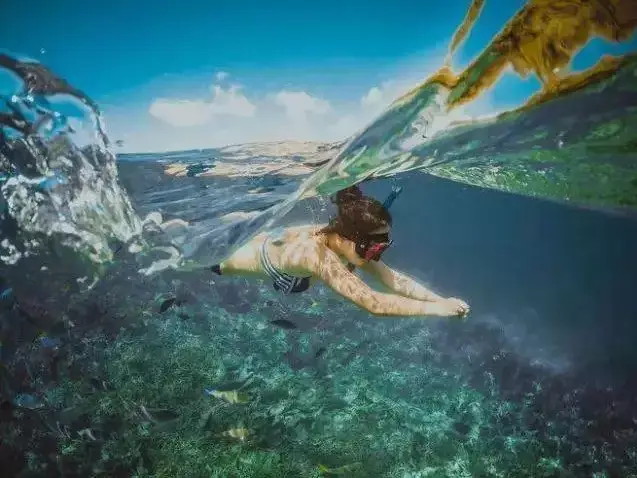 双人潜水游泳技巧_双人潜水照片_潜水教学潜水游泳教学